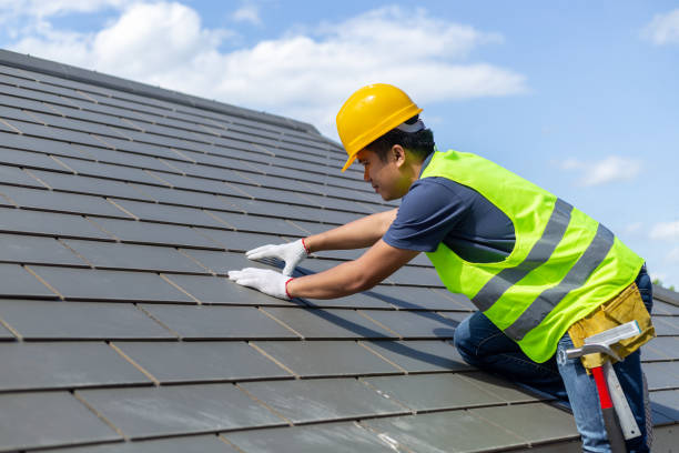 Best Roof Gutter Cleaning  in Black Hammock, FL