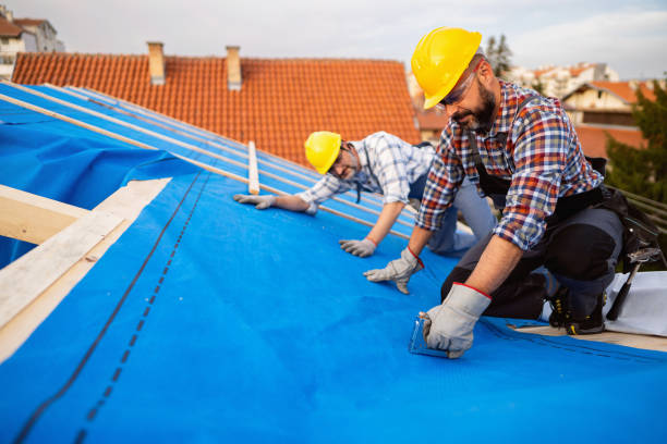 Best Residential Roofing Contractor  in Black Hammock, FL
